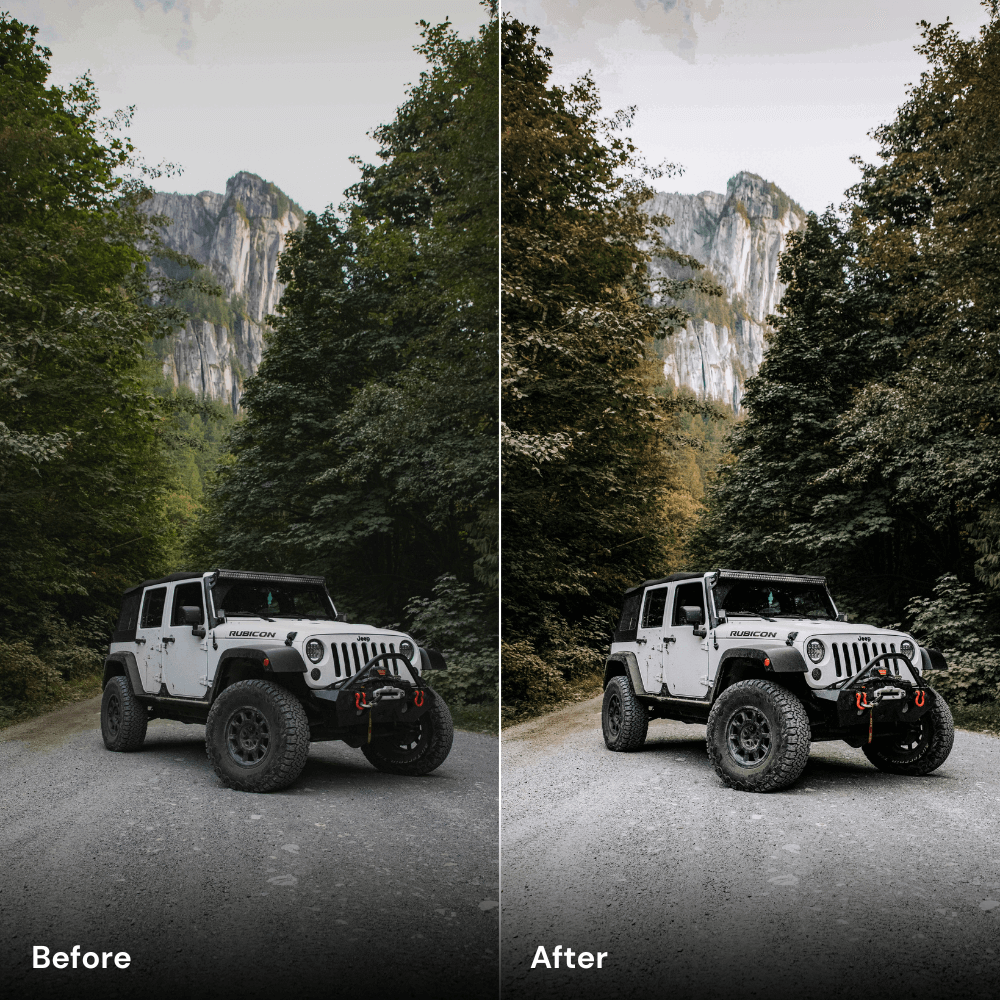 Jungle Journeys - Car Lightroom Preset Pack (10 Presets)