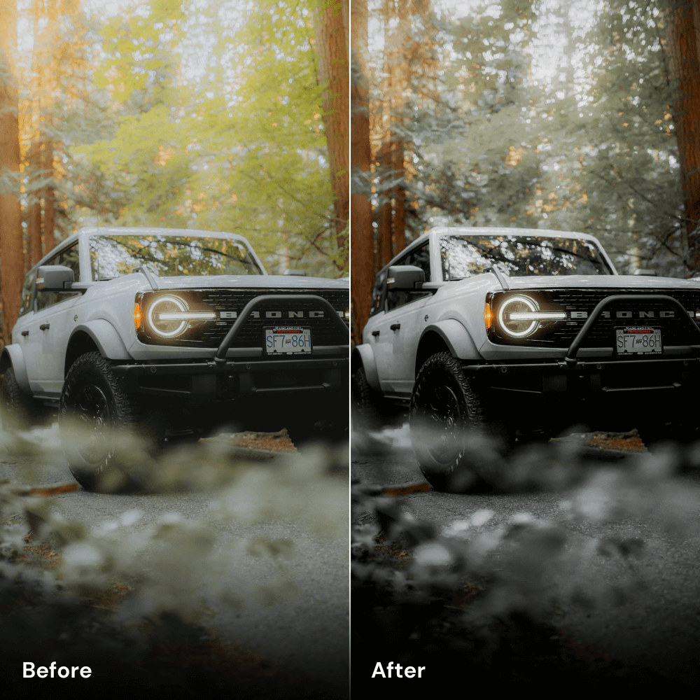 Forest Drive - Lightroom Preset Pack